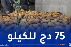 وزارة الفلاحة: الشروع في تفريغ مخزون البطاطا لضبط السوق