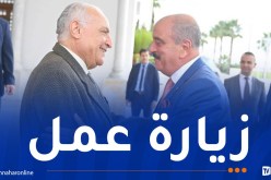 وزير الخارجية يستقبل نظيره التونسي بمطار الجزائر