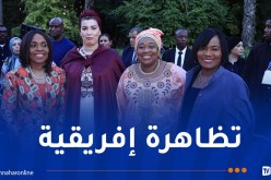 اختتام تظاهرة الأيام الإبداعية الإفريقية لعام 2024