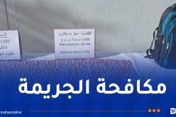 البيض: حجز 1500 قرص مهلوس وتوقيف ثلاثيني