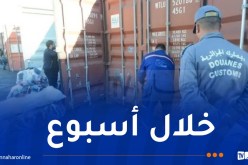 الجمارك تسجل 178 قضية مكافحة التهريب والتجارة غير الشرعية