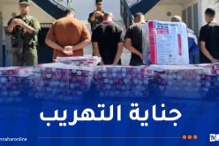 تندوف: تفكيك شبكتين إجراميتين وحجز 28 ألف قرص مهلوس