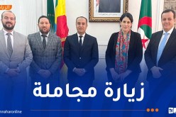 صادي يُستقبل من طرف سفيرة الجزائر بإثيوبيا