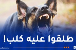 العاصمة: إختطاف شاب وتعذيبه بأبشع الطرق لهذا السبب!