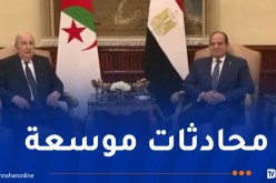 رئيس الجمهورية يتحادث مع نظيره المصري