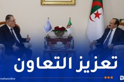 داخلية.. مرزوق يستقبل الأمين العام المساعد لمنظمة الأمم المتحدة