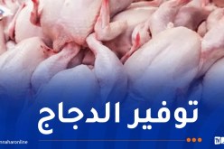 توقيع إتفاقية لتموين السوق باللحوم البيضاء في رمضان