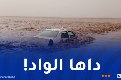 البيض.. إنقاذ 4 أشخاص جرفتهم سيول وادي صقر