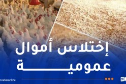 الأمن يكتشف ثغرة مالية كبيرة بوحدة أغذية الأنعام بالرمشي
