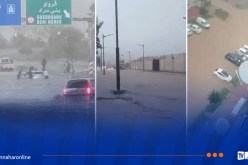 البليدة.. إنقاذ شخص وامتصاص مياه الأمطار عبر 4 بلديات 