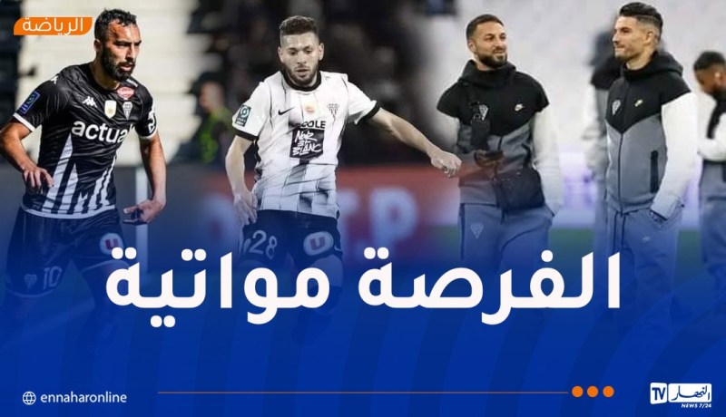 رباعي جزائري أساسيا في مواجهة أنجي ومارسيليا