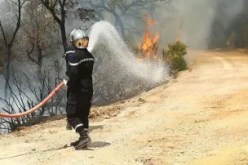 الحماية المدنية: إخماد حرائق الغابات الأدغال والأحراش عبر 5 ولايات