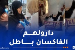 العاصمة: تطعيم مجاني للقطط والكلاب