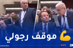 بالفيديو.. الوفد البرلماني الجزائري يقاطع كلمة ممثل إسرائيل