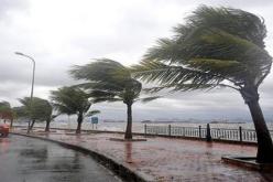 الأرصاد الجوية: سرعة الرياح سجلت أرقام قياسية بلغت 140 كم/سا أمس الأربعاء