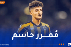 بلومي يواصل تألقه في “الشامبيونشيب” وينال أعلى تنقيط في مواجهة هال سيتي و بورتسموث