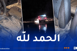 تبسة.. إنقاذ شخصين علقا داخل سيارة جرفتها السيول ببلدية العقلة