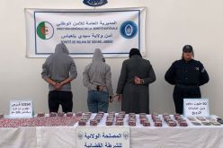 سيدي بلعباس.. توقيف امرأتين ورجل وحجز أزيد من 10 آلاف قرص بريقابالين