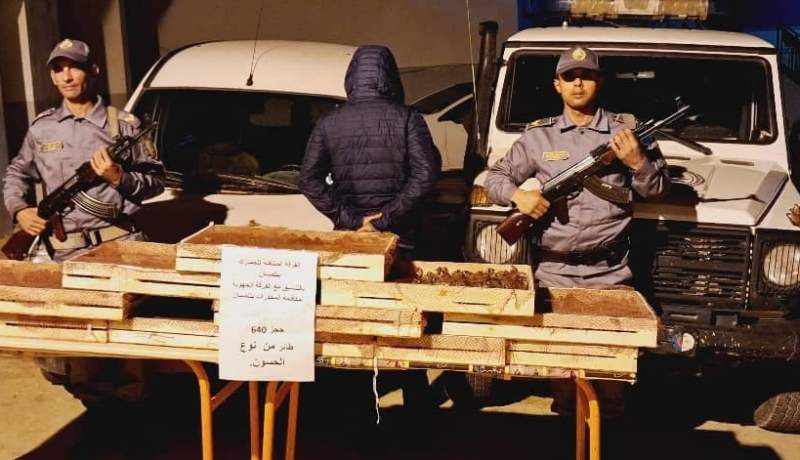 حجز 640 “مقنين” موجّه للتهريب بتلمسان