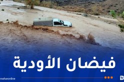 تقلبات جوية.. إنقاذ 14 شخصا وإخراج عدة مركبات كانت عالقة بالنعامة