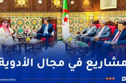 سفير خادم الحرمين الشريفين لدى الجزائر يستقبل والي العاصمة
