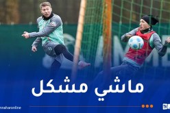 فايزر: “اعتقدت أن الوقت قد حان لأكون مع الجزائر ولكن.. “