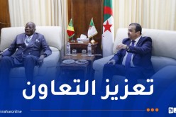 عرقاب يتباحث مع نظيره الكونغولي فرص وإمكانيات الاستثمار والشراكة