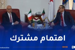 تعزيز التعاون بين الجزائر وإيطاليا في المجال الجمركي