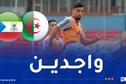 بالصور.. الفاف تكشف آخر تحضيرات الخضر لمواجهة غينيا الاستوائية