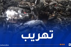 الوادي: إحباط تهريب 18 محركاً مستعملاً
