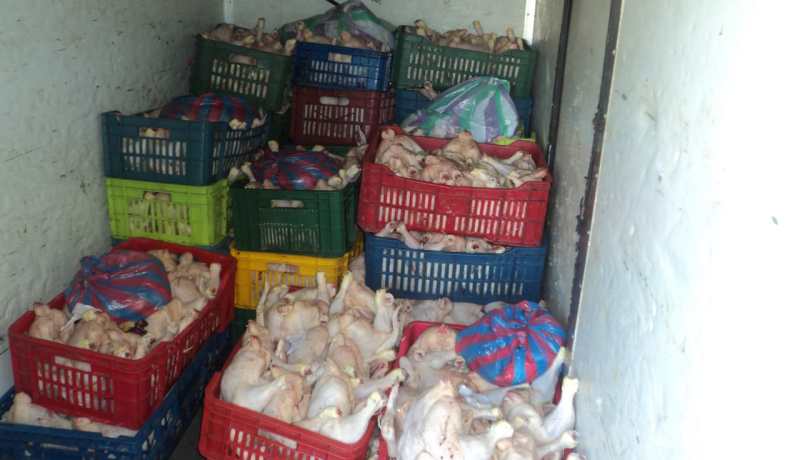 إحباط تسويق أكثر من 8 قناطير من اللحوم البيضاء الفاسدة بوهران