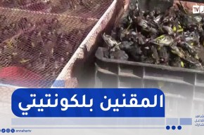 شاهد..درك النعامة يحجز 21 صندوق لطائر الحسون