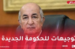 رئيس الجمهورية يترأس إجتماعا لمجلس الوزراء