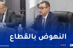 وزير النقل يأمر بتكثيف الخرجات الميدانية