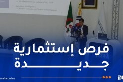 إستثمار.. عودة الشركات الكورية لصناعة السيارات بالجزائر