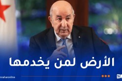 رئيس الجمهورية يأمر بتسوية ملف العقار الفلاحي وفتح البنوك للمستثمرين