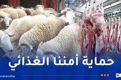 الرئيس تبون يتحدث عن ارتفاع أسعار اللحوم وسوق المواشي