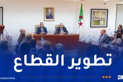 تعيين الأمين العام ورئيس الديوان لوزارة الصناعة