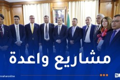 عرقاب يبحث سبل الإستثمار في إنشاء محطات إنتاج ونقل الكهرباء مع مصر