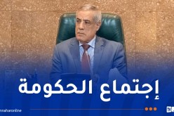 الأمن الغذائي ورفع قدرات تخزين الحبوب على طاولة الحكومة