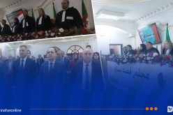 افتتاح السنة القضائية الجديدة بمجلس قضاء تيبازة.. إنجازات بارزة ورؤية مستقبلية لتطوير الخدمات العدلية