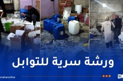 تفكيك ورشة سرية لإنتاج “البهارات” في ميلة!