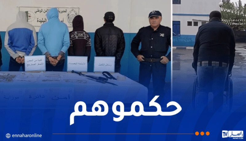 عين تموشنت: الإطاحة بشبكة لسرقة المنازل واسترجاع ممتلكات بقيمة مليار سنتيم