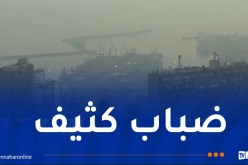 الدرك الوطني يحذر من وجود ضباب كثيف في هذه المناطق !