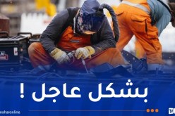 288 ألف عامل مطلوب في هذه الدولة !