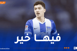 مدرب هيرتا برلين يطمئن بخصوص إصابة إبراهيم مازة