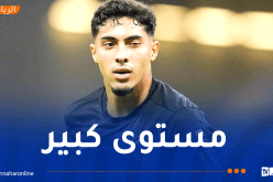 شايبي يعود للتألق رفقة فرانكفورت في “البوندسليغا”