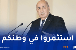 الرئيس تبون:”أدعو الجزائريين بالخارج للاستثمار في بلدهم”