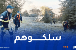 بجاية.. انقاذ 3 أشخاص علقوا في قمة جبلية بعلو 1700 متر