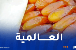 دقلة نور الجزائرية تتصدر قائمة أجود أنواع التمور في العالم